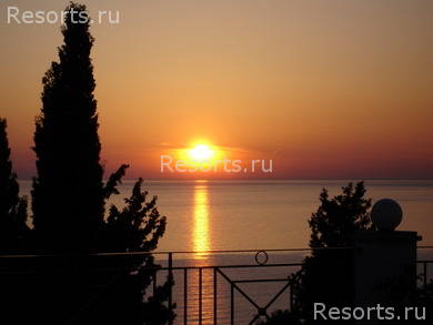 Dinas Paradise 23